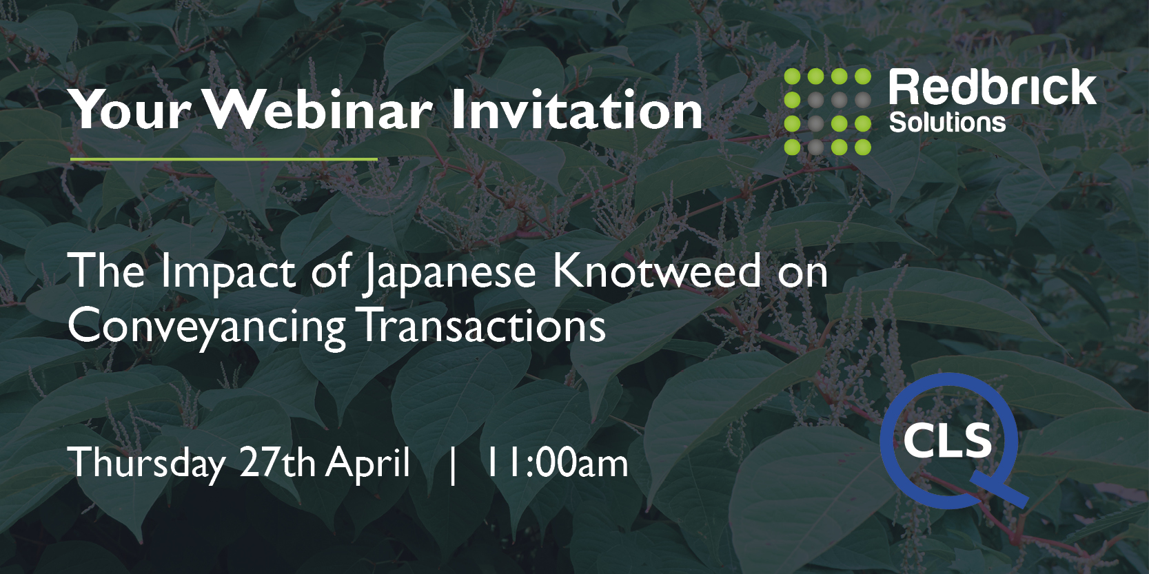 CLS Webinar | The Impact of Japanese Knotweed on Conveyancing Transactions